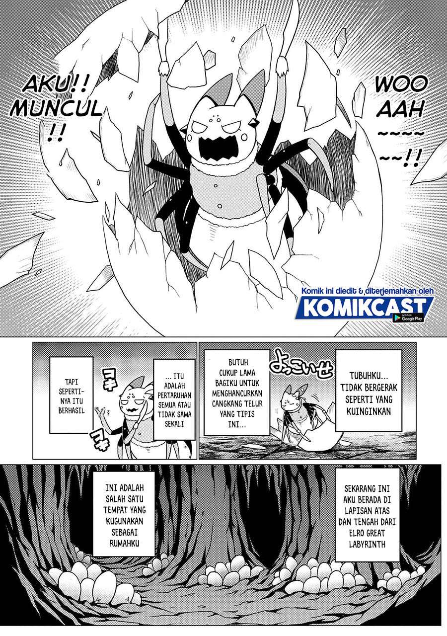 Kumo desu ga, Nani Ka?
